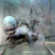 Illustration for article titled How Can 3D Artworks Made Only From Painted Glass Creep Me Out So Much?
